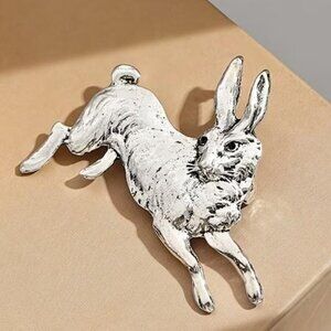 THE DISTINGUISHED MR. RABBIT